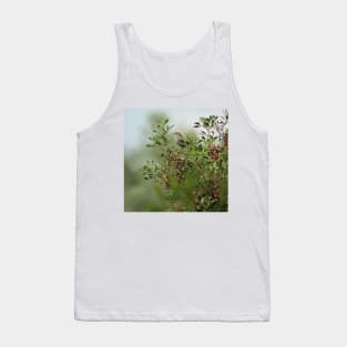 Little Grey Bird Perching on a Bush Tank Top